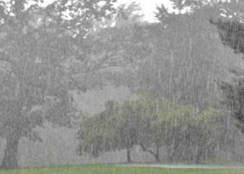 २४ घण्टा देशैभरि भारी वर्षाको सम्भावना, सर्तक रहन आग्रह