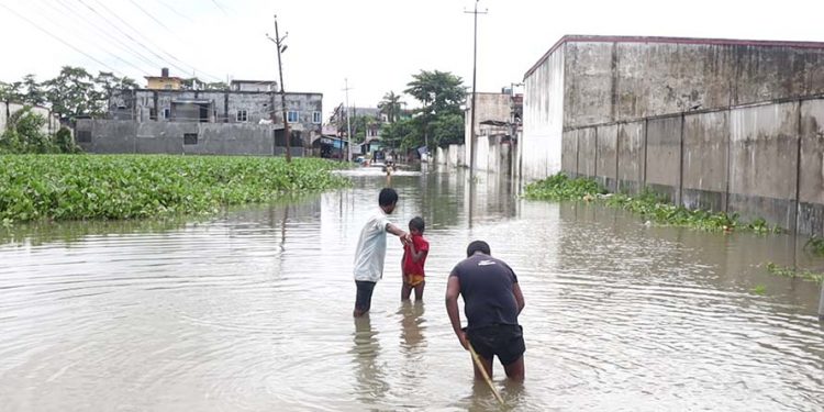 विराटनगर के अढाई घरों मे फैली वर्षात के पानी