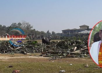 मेयर साहको सामन्ती प्रवृतिले तिरहुतिया गाछीको ऐतिहासिकता मेटिदै