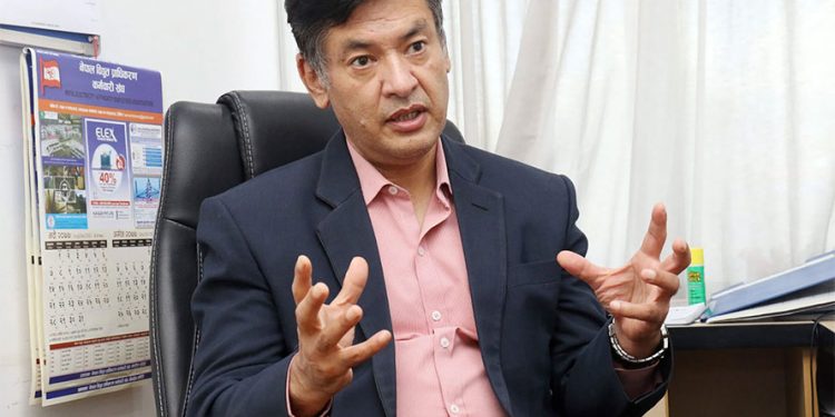 विद्युत प्राद्यिकरणको निर्देशकमा शाक्य नियुक्त