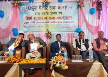 उपप्रधानमन्त्री पोखरेल भन्छन : सरकार बचाउन निर्वाचनमा जानु परयो