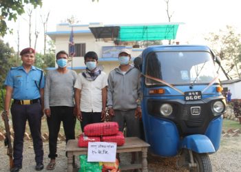सर्लाहीबाट १५ केजी गाँजा सहित तीन पक्राउ