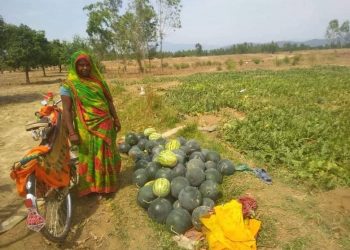 कोभिडबाट प्रभावित गरीबहरुको आयआर्जनका लागि तरबूज खेती