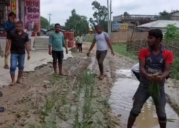 जनप्रतिनिधिकाे विराेध गर्दै स्थानीयले सडकमै राेपे धान