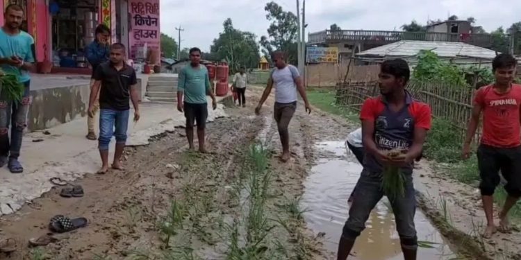 जनप्रतिनिधिकाे विराेध गर्दै स्थानीयले सडकमै राेपे धान