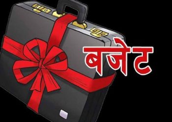धनुषाका यी ५ स्थानीय तहले ल्याउन सकेन बजेट