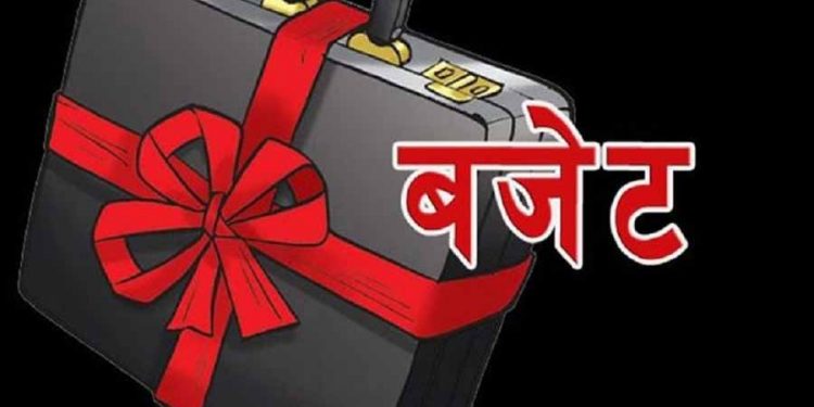धनुषाका यी ५ स्थानीय तहले ल्याउन सकेन बजेट