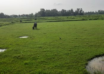 जग्गा कसरी नाप्ने बुझि राखाै