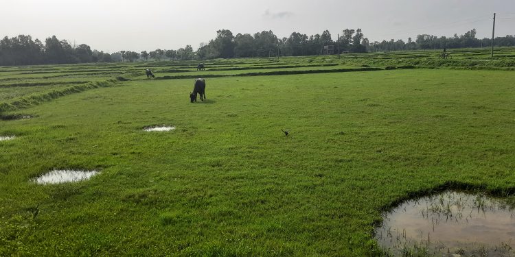 जग्गा कसरी नाप्ने बुझि राखाै