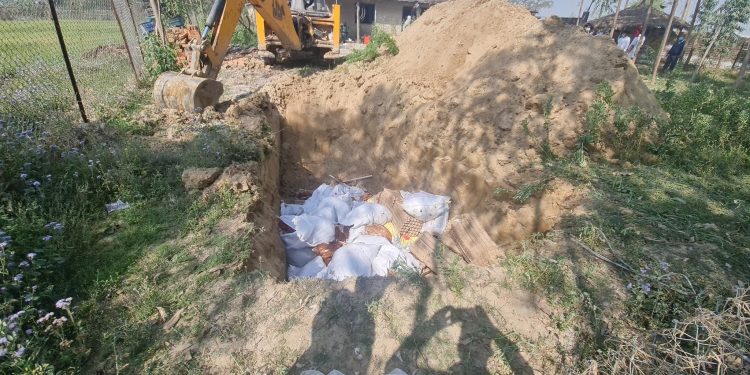 पर्सामा एक कुखुरा फार्ममा देखियो बर्डफ्लु संक्रमण