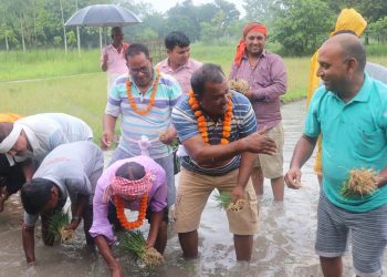 जनकपुरधामले पहिलो पटक मनायो राष्ट्रिय धान दिवस