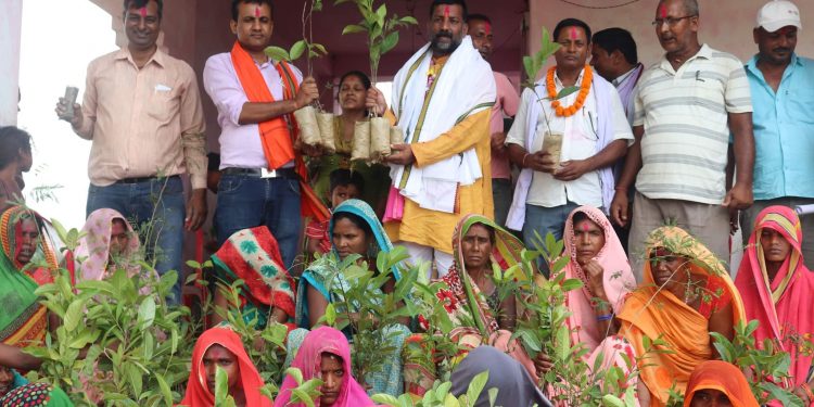 शहीदनगरमा १५ हजार रुख विरुवा वितरण गरी मनाइयो वातावरण दिवस