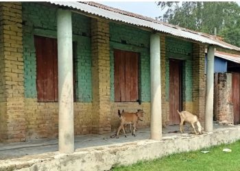 पठन पाठन नहुँदा विद्यालय गोठमा परिणत, शिक्षकहरु बसेरै तलब खांदै