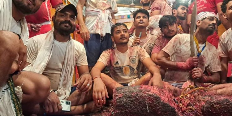 जनकपुरधामकाे राजदेवीमा १५ हजार बाेका बलिप्रदान