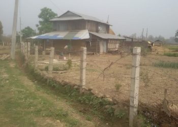 वृक्षारोपणको नाममा भ्रष्टाचार