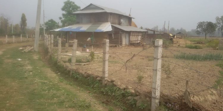 वृक्षारोपणको नाममा भ्रष्टाचार