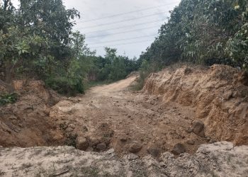 भूमाफियाहरुकाे जालसाजी : व्यक्तिकाे जग्गाबा लाखाै माटाे ग्राभेल खने