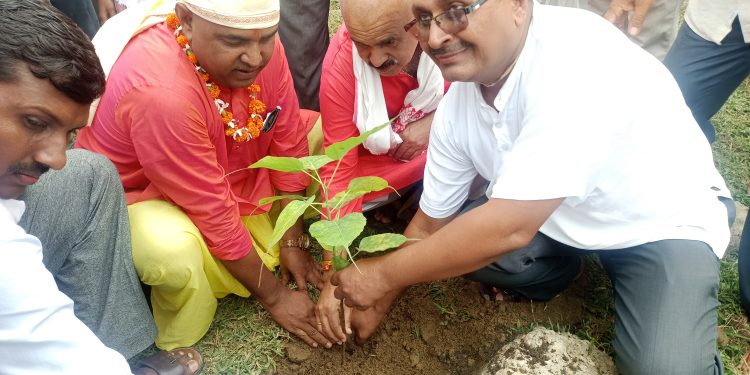 वृक्षाराेपण गरि  मन्त्री यादवले मनाए आफ्ना बुवाकाे १३ औं पुण्यतिथि
