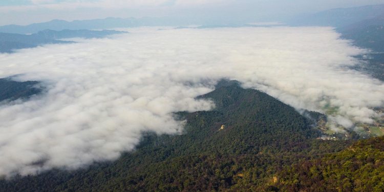 यसवर्ष मधेशमा कम वर्षा हुने, ५ प्रदेशमा बढी