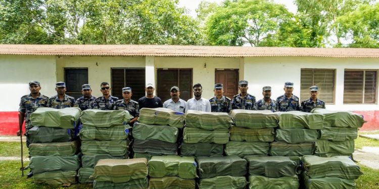 एमाले नेता महासेठको ईंटाभट्टाबाट १३ लाख बढीको अवैध काजु बरामद