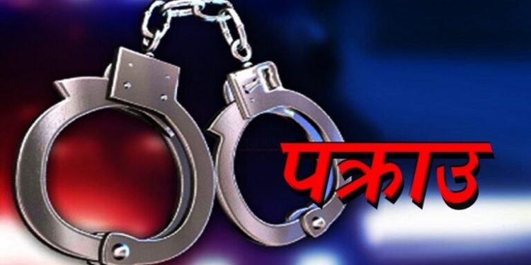 ठगी आरोपमा दुई जना पक्राउ