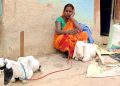 गरिबी र त्रासका बीच काैशिल्याकाे परिवार