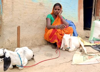 गरिबी र त्रासका बीच काैशिल्याकाे परिवार