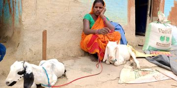 गरिबी र त्रासका बीच काैशिल्याकाे परिवार